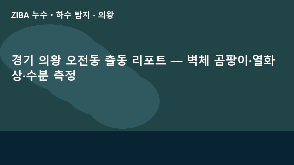 경기 의왕 오전동 출동 리포트 — 벽체 곰팡이·열화상·수분 측정